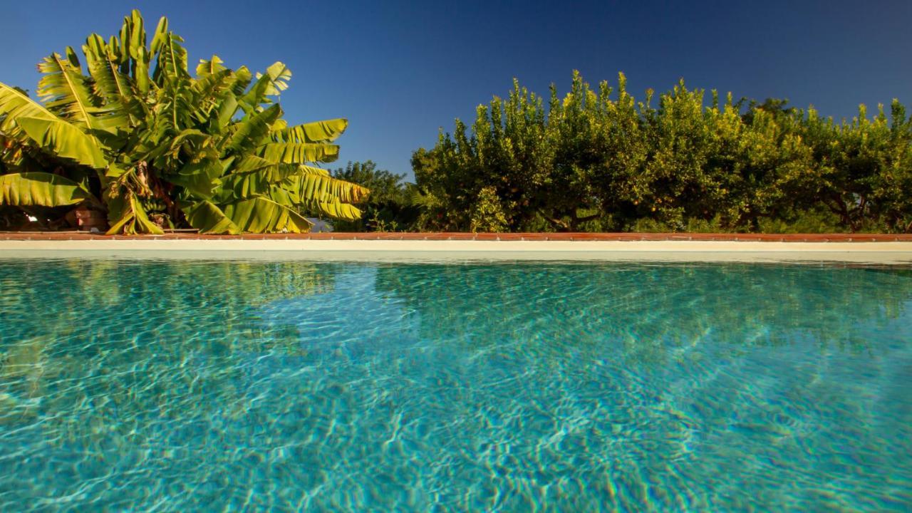 Quinta Da Pintassilga Holiday home *