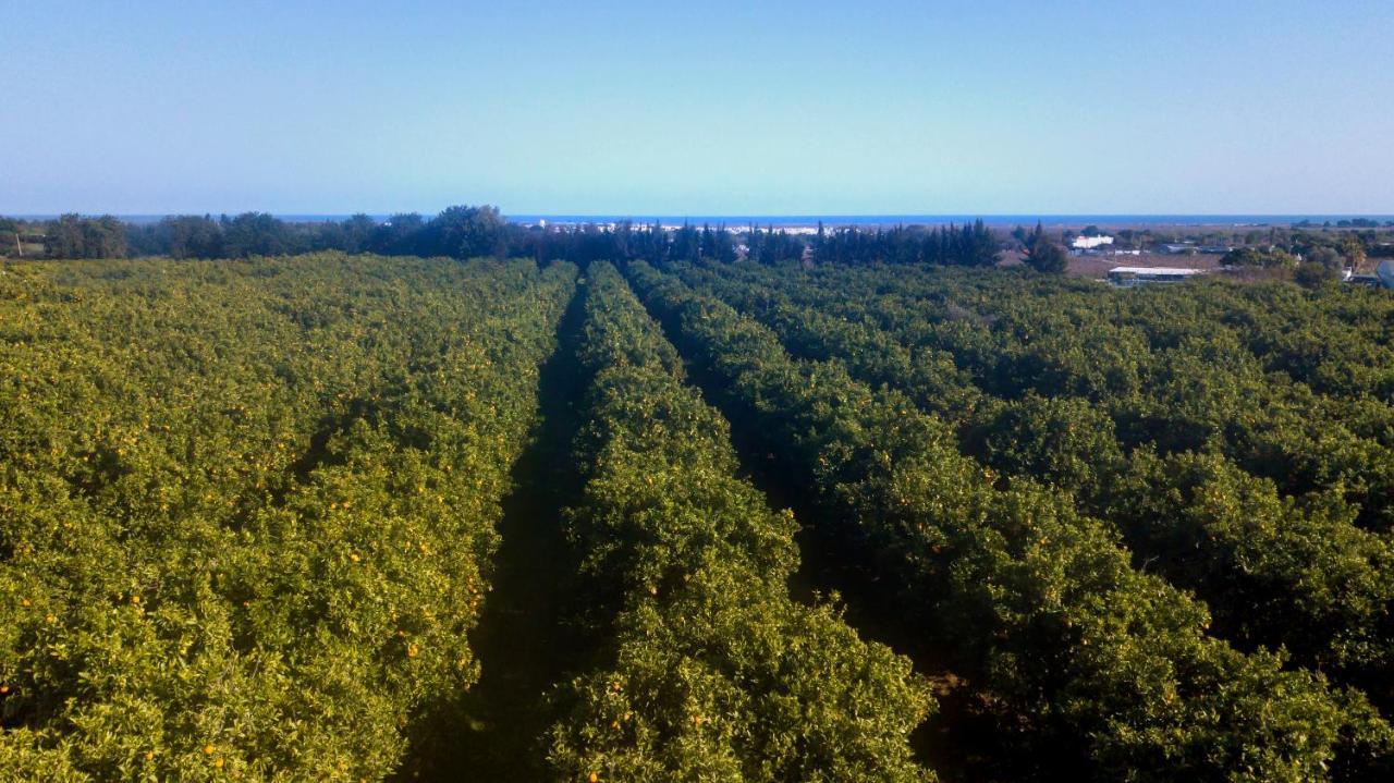 Quinta Da Pintassilga Holiday home